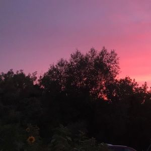 Meet your Posher, Kaylea